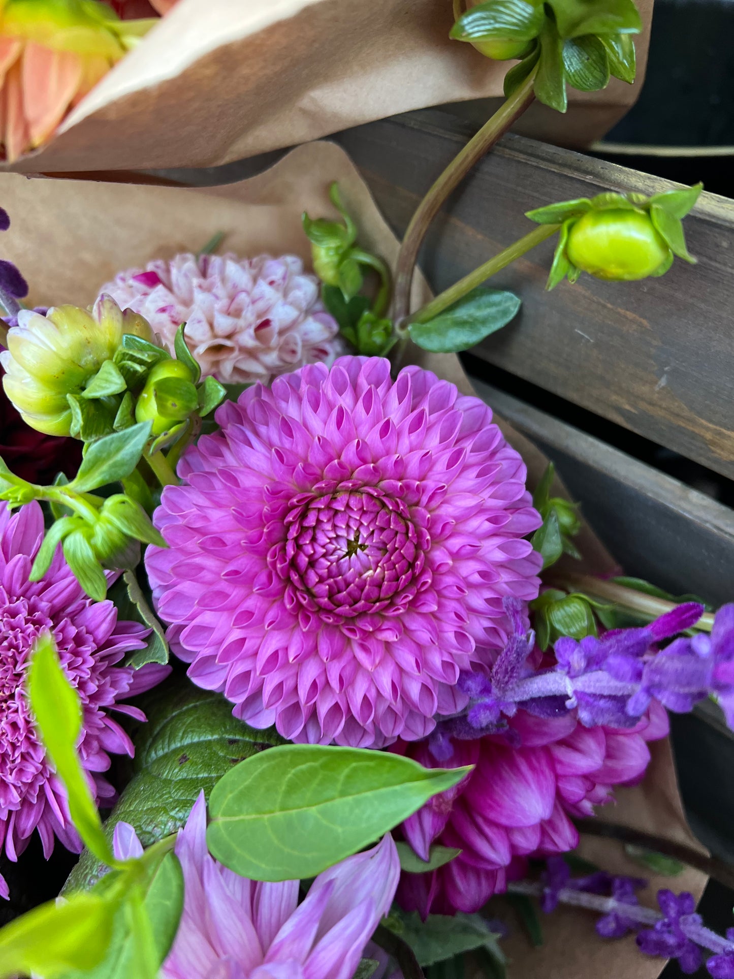 20th Ave For Mom - Rooted Cutting