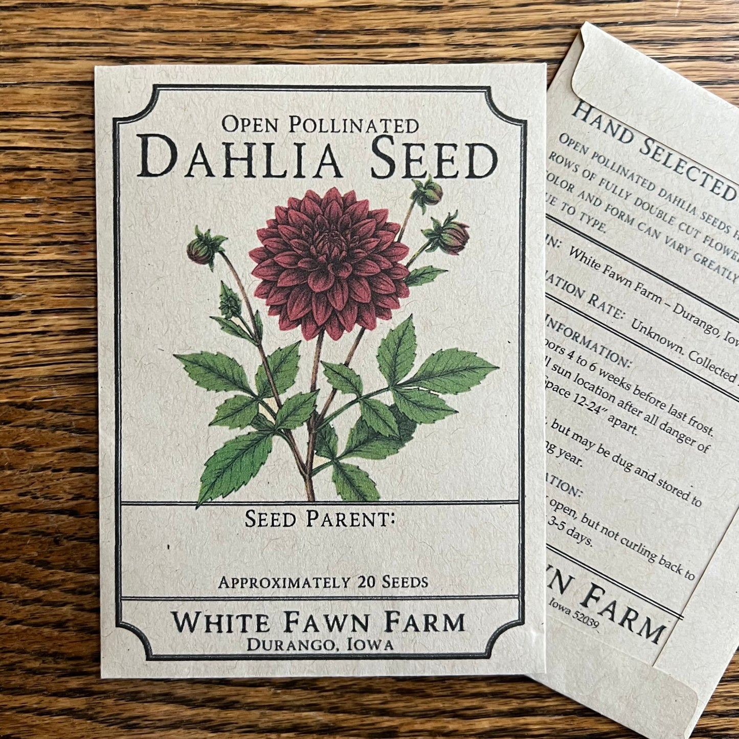 KA's Mocha Jake - Dahlia Seeds