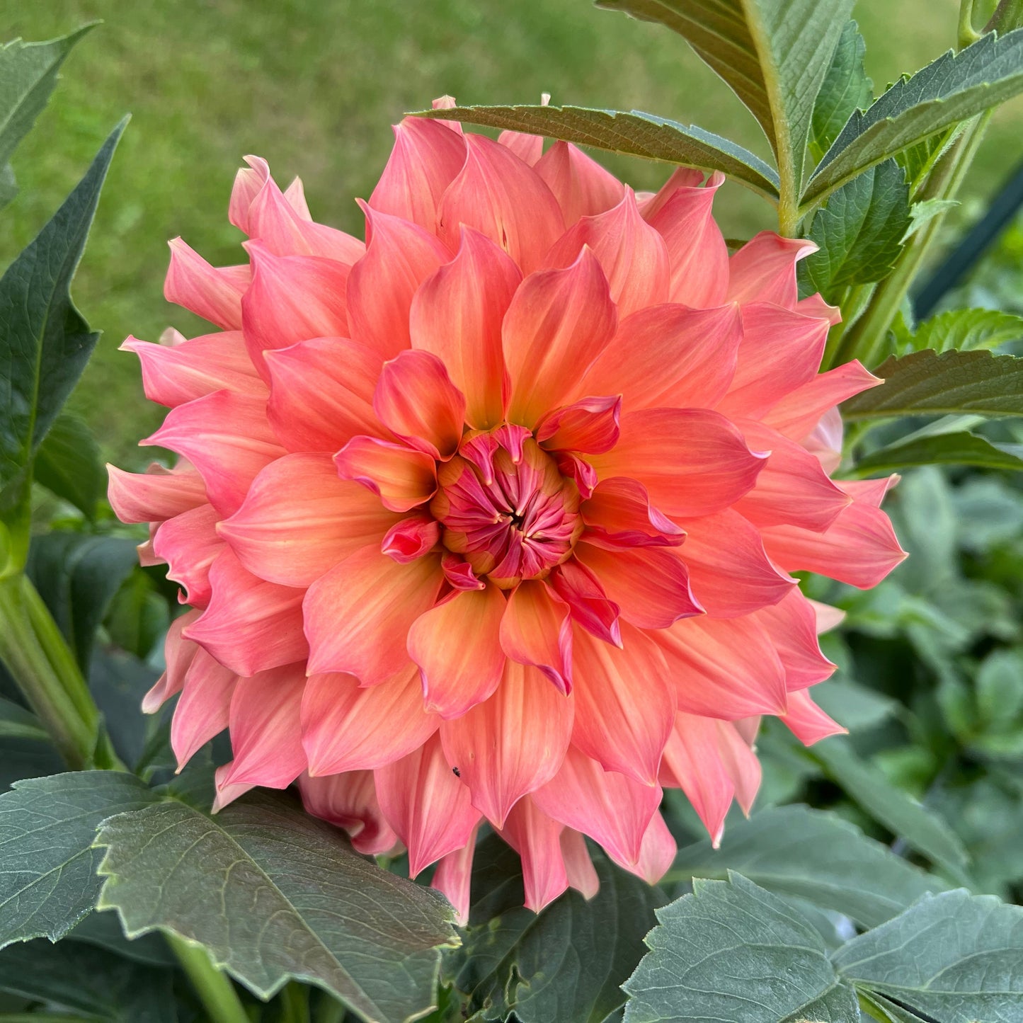 Salish October Wedding